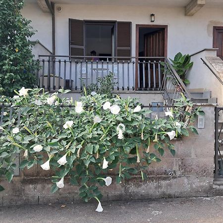 A Casa Ida Bagnoregio Exterior foto